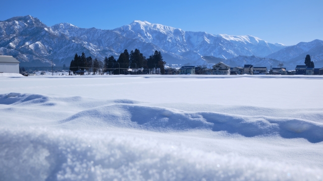 雪が積もった大地
