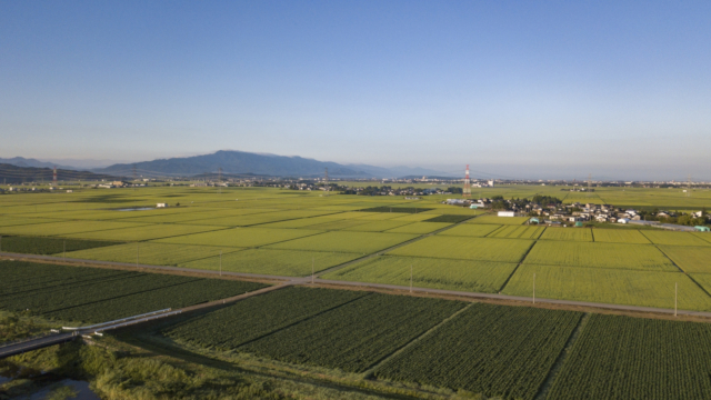 新発田市の風景