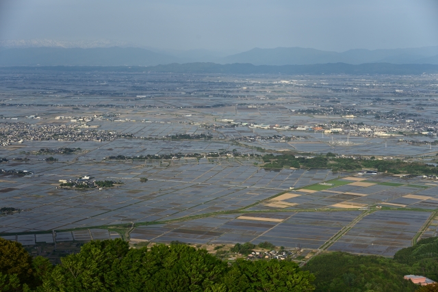弥彦山から燕市方面を望む